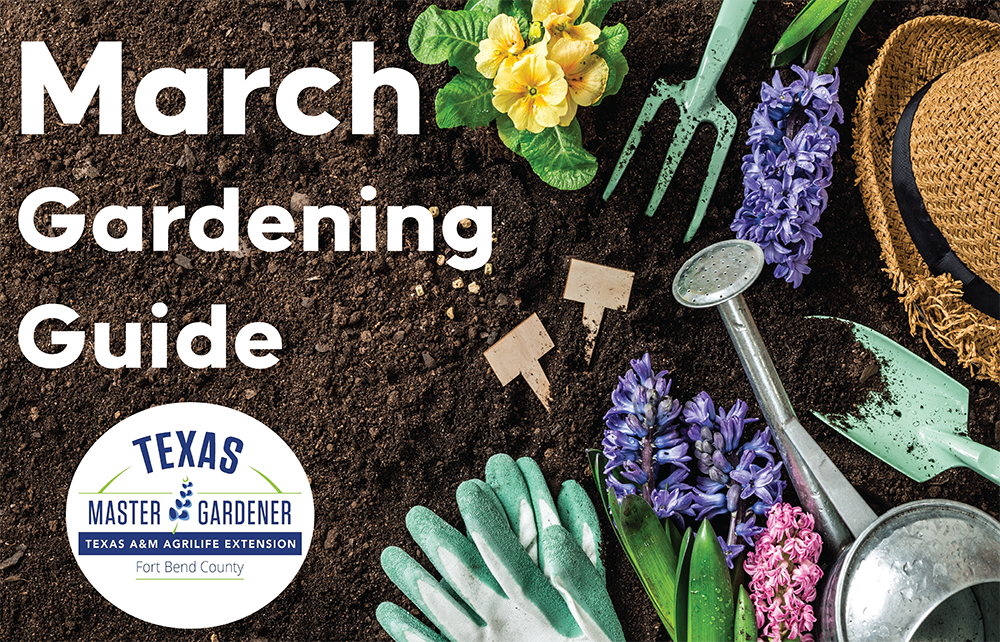 March Gardening Guide: Expert Tips from Fort Bend County Master Gardeners for a Thriving Spring Landscape