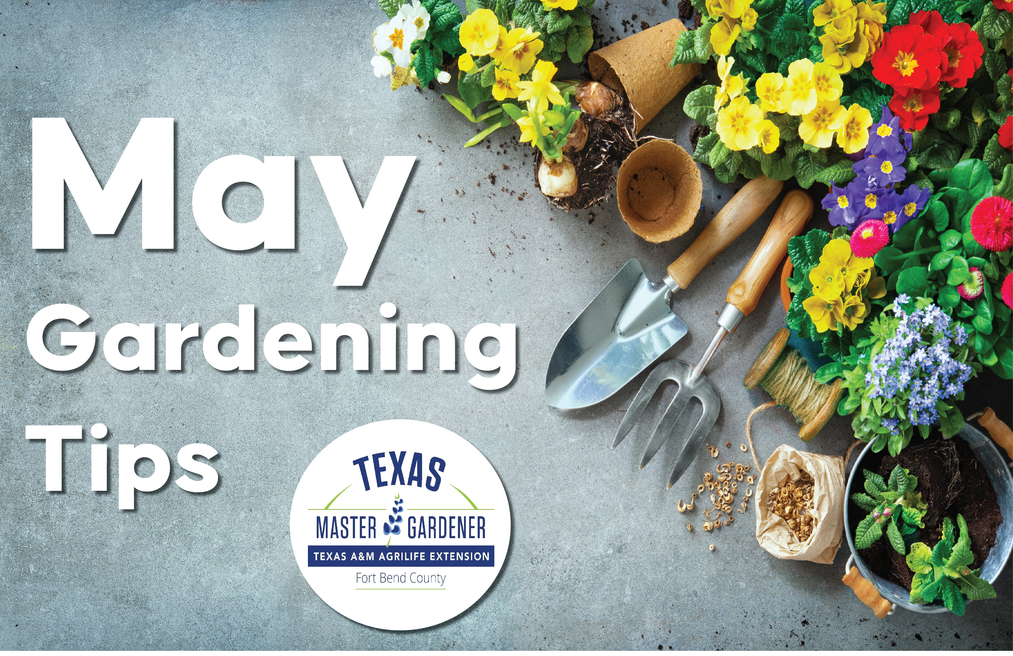 Fort Bend County Master Gardeners Shares Top Gardening Tips for May