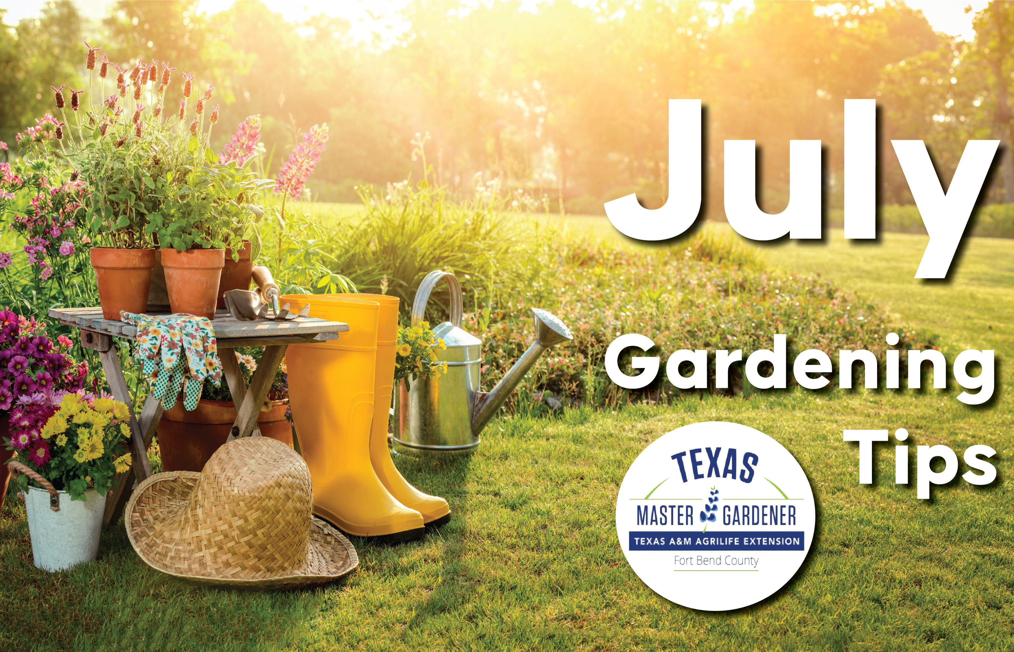 Fort Bend County Master Gardeners Shares July Gardening Tips