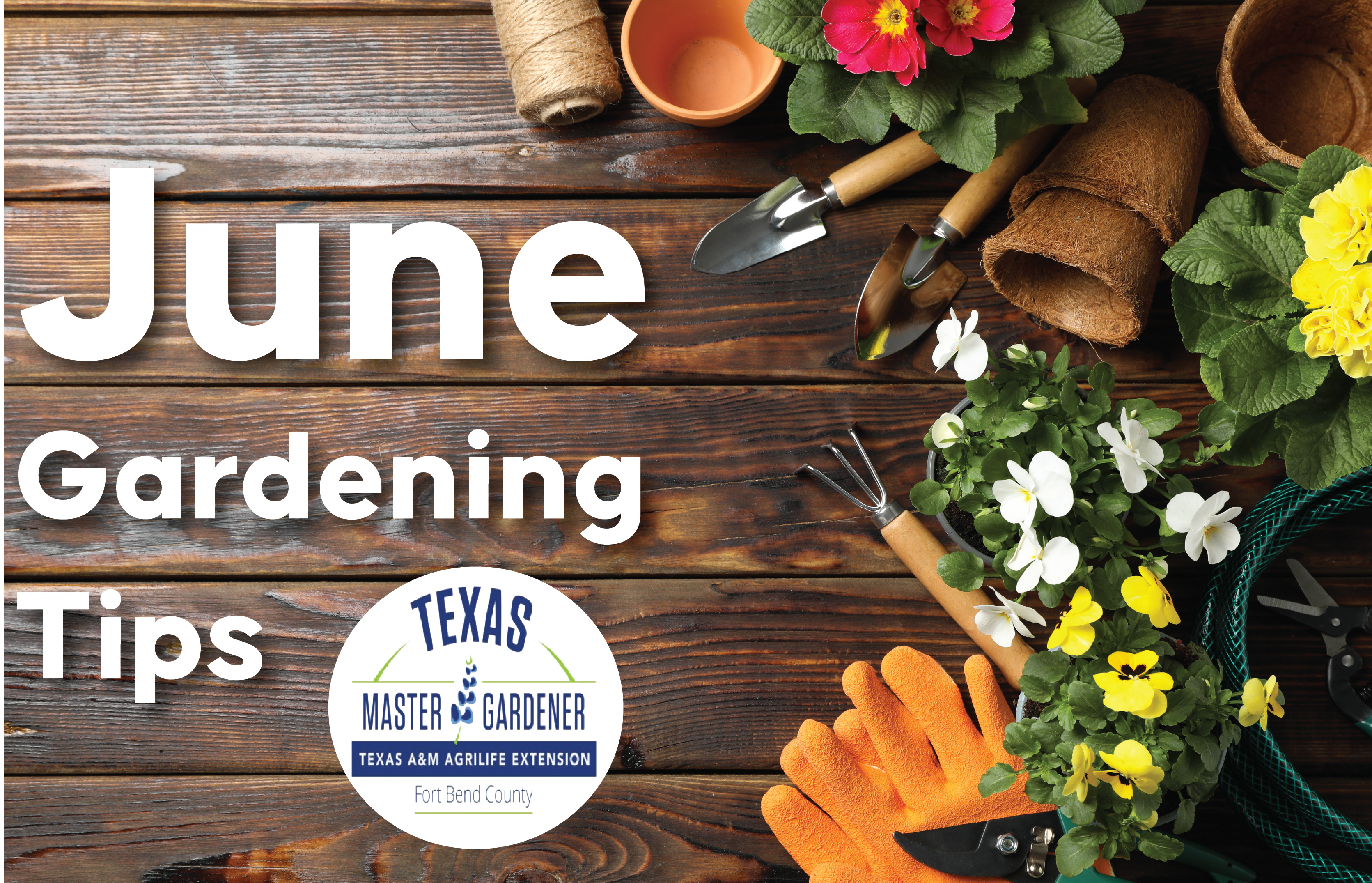 Expert June Gardening Tips Shared by Fort Bend County Master Gardeners