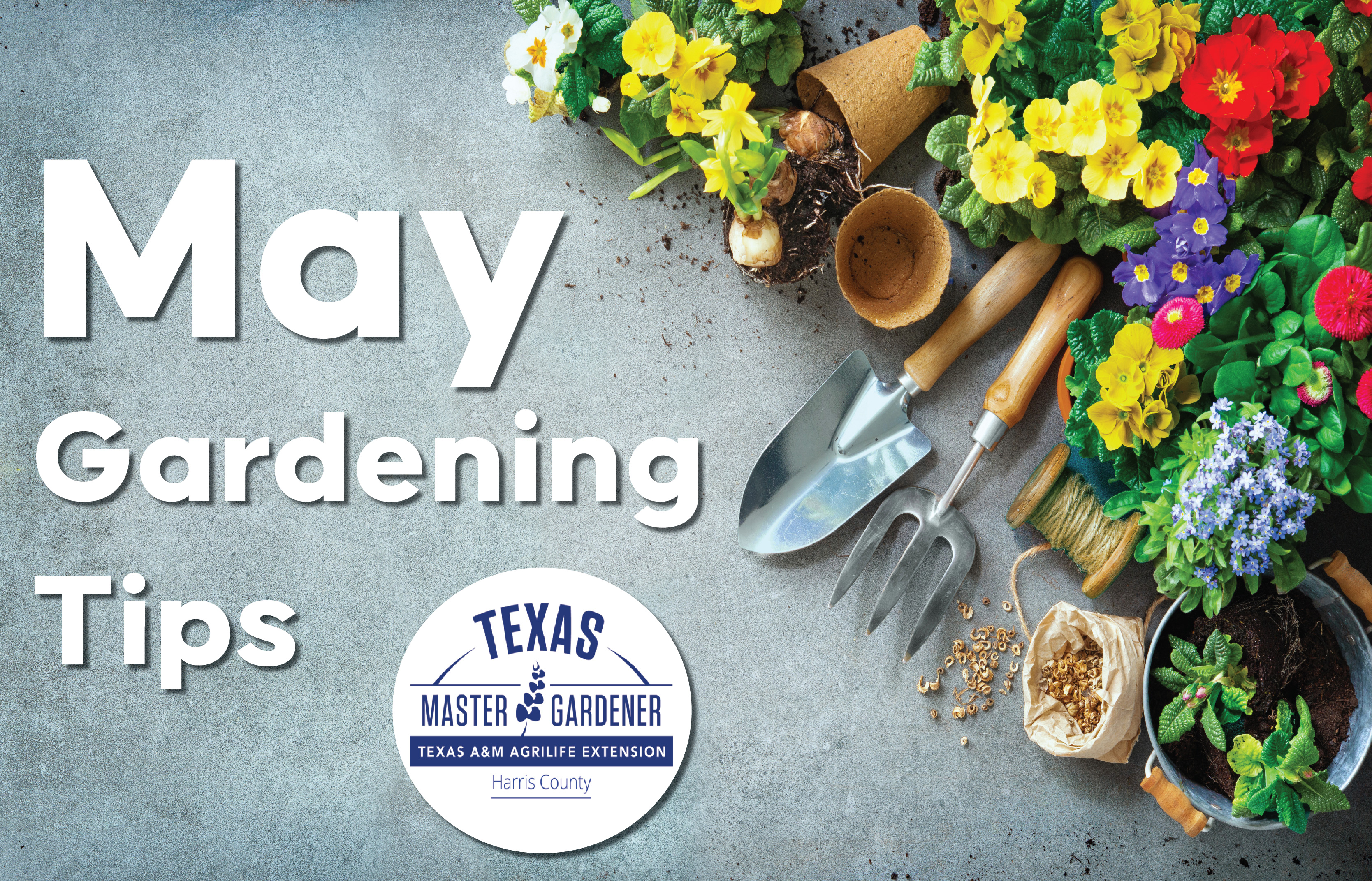 Harris County Master Gardener Shares Top Gardening Tips for May