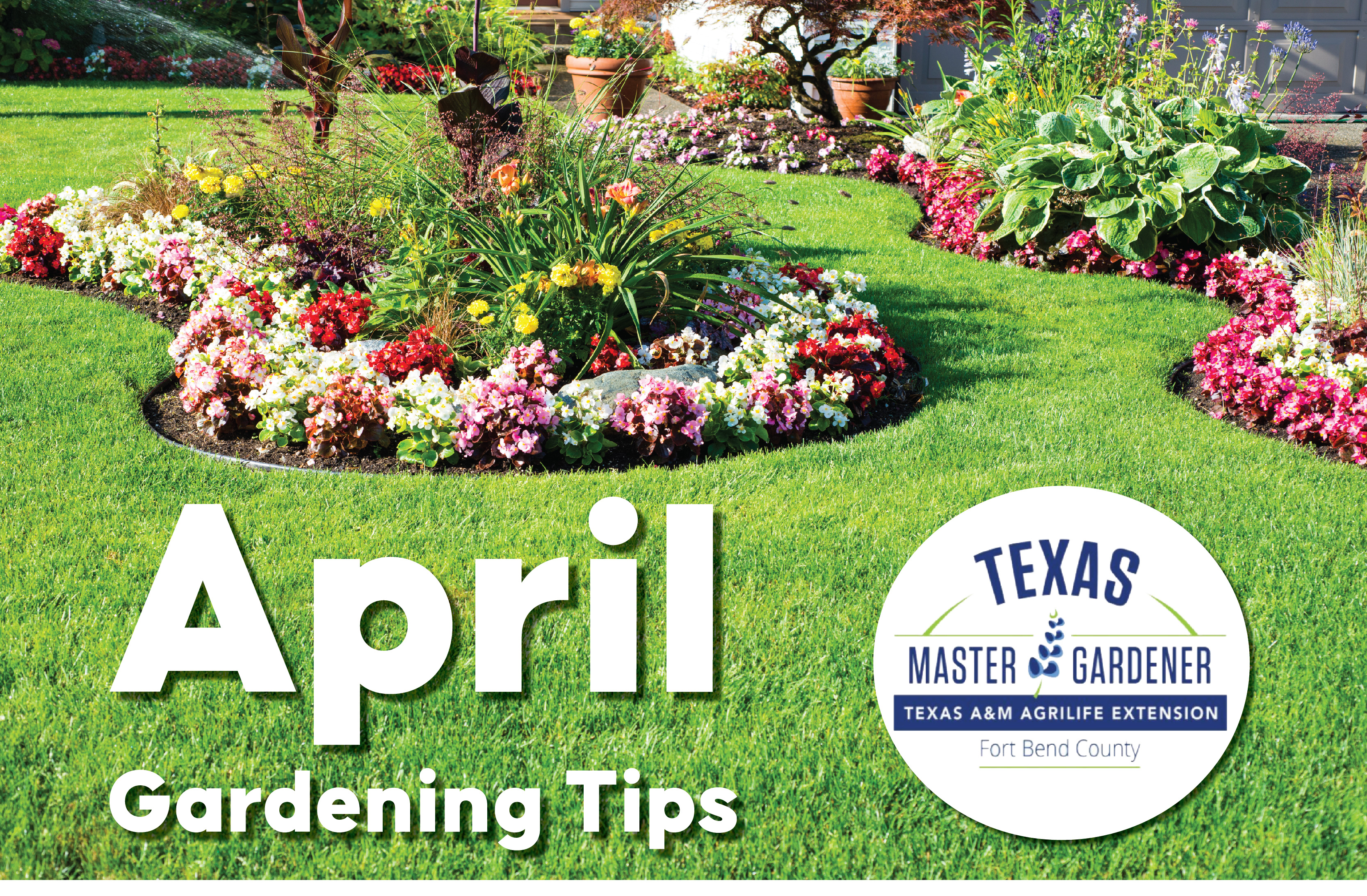 Fort Bend County Master Gardeners Shares Top Gardening Tips for April