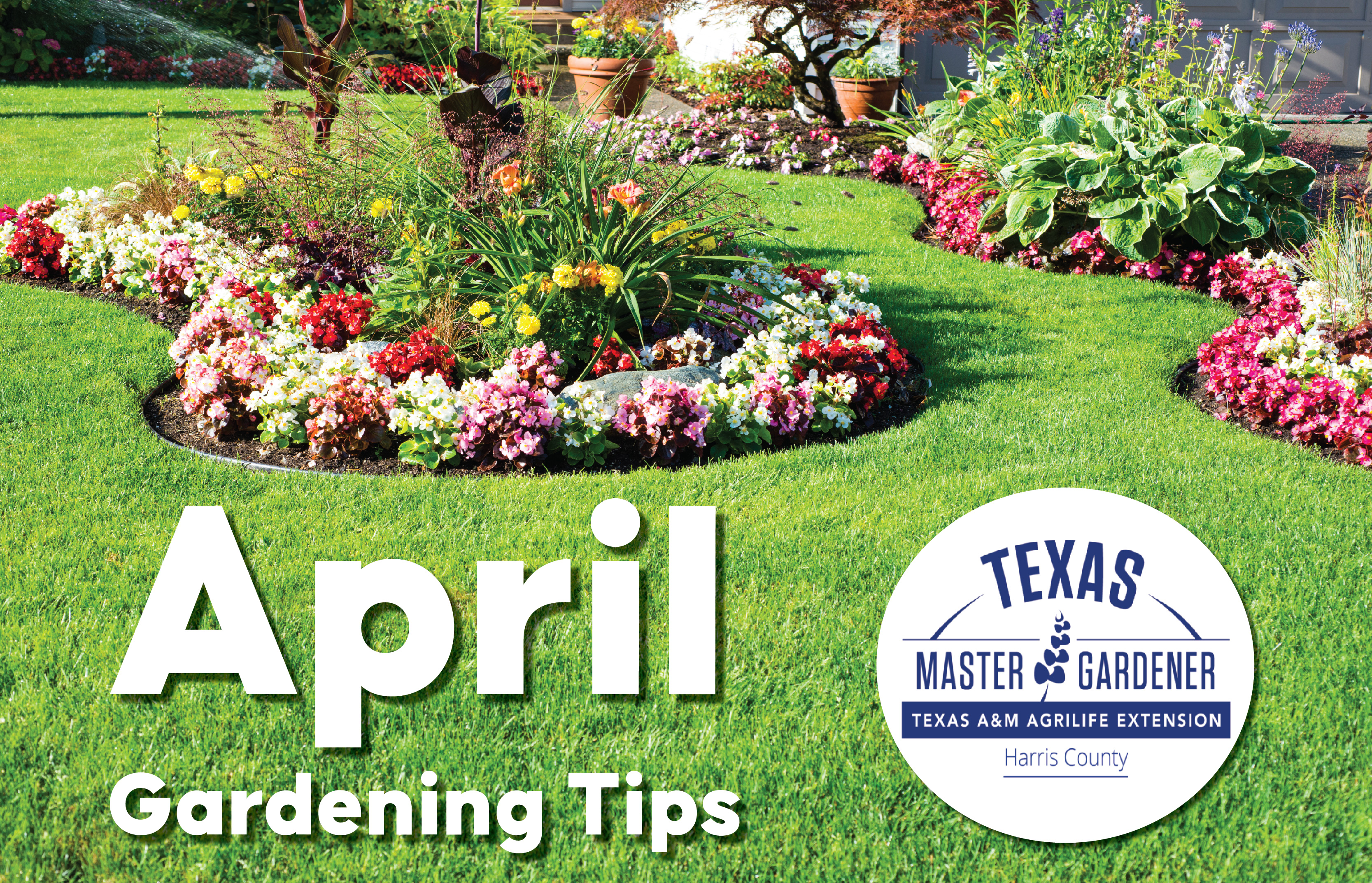 Harris County Master Gardener Shares Top Gardening Tips for April