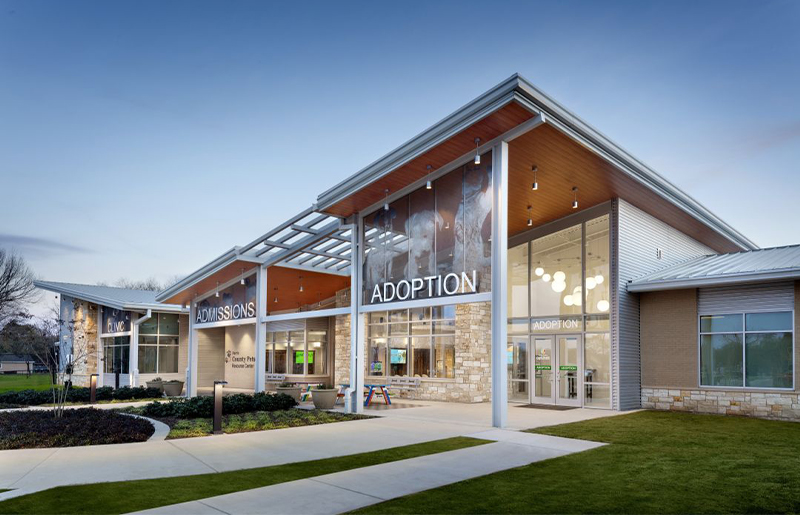 Canine Parvovirus Outbreak Quarantines Harris County Animal Shelter, Suspends Dog Intakes