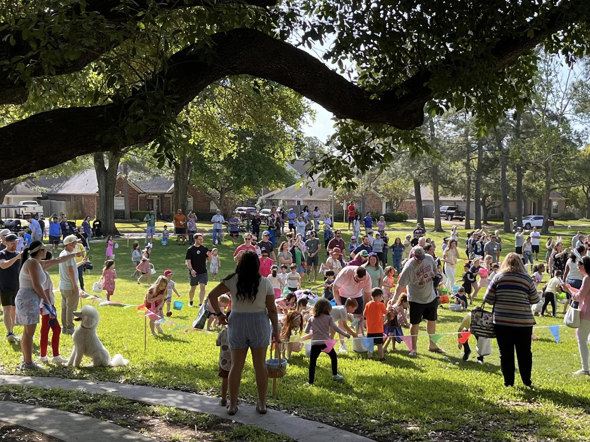Hundreds Join the Fun at Cinco Ranch I Easter Egg Hunt