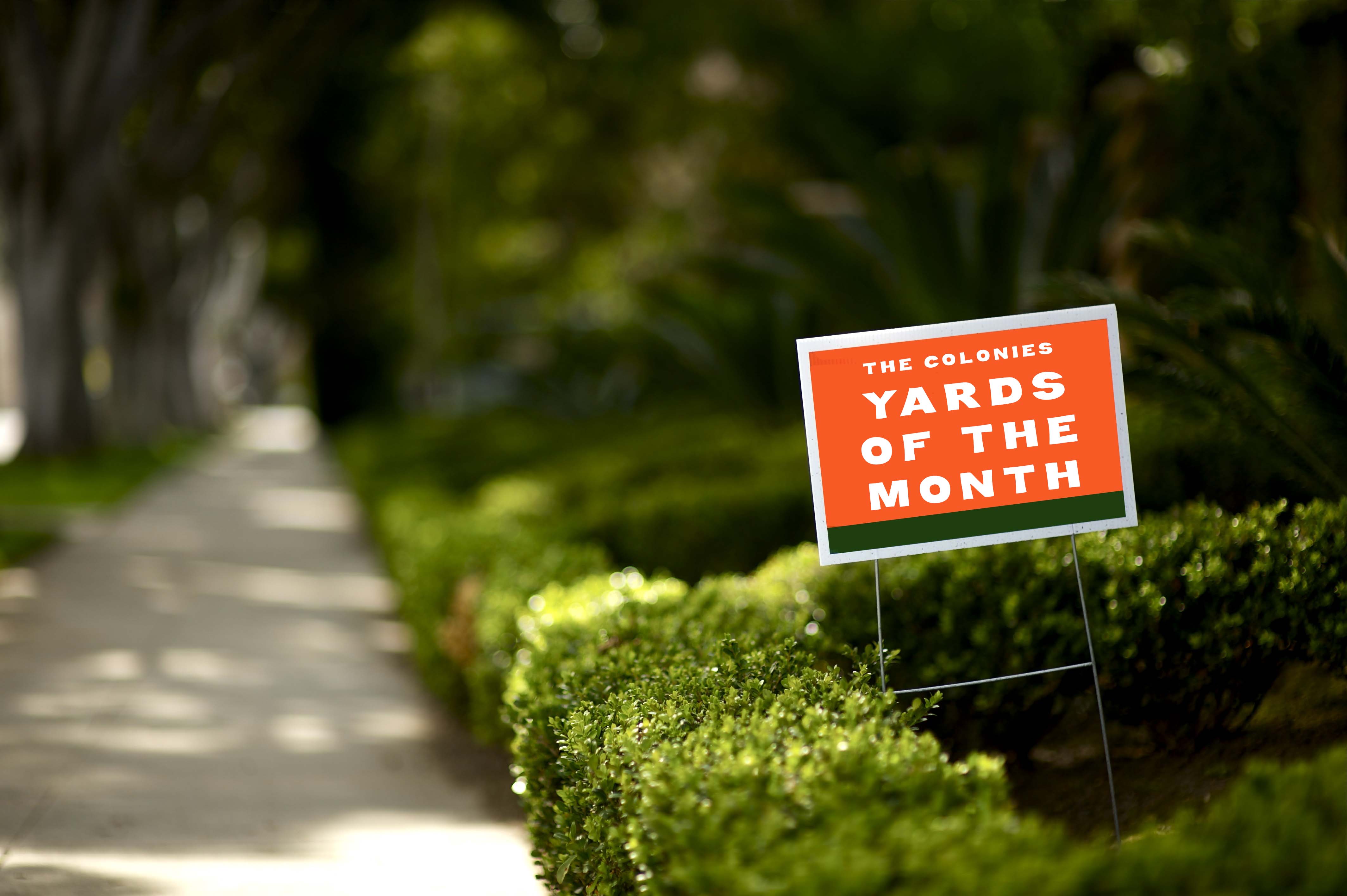 Yard of the Month Winners