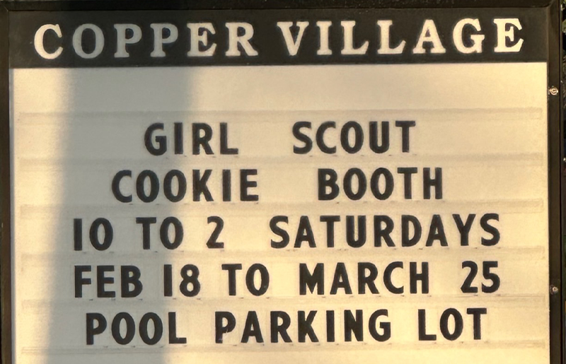 Don't Miss Out On Girl Scout Cookies!