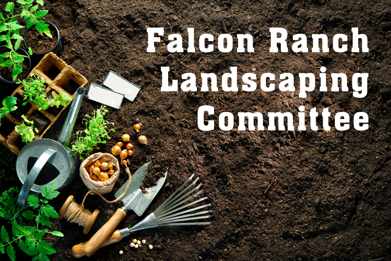 Falcon Ranch Landscape Committee