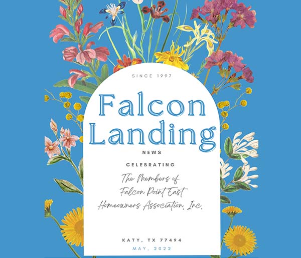 Falcon Landing 