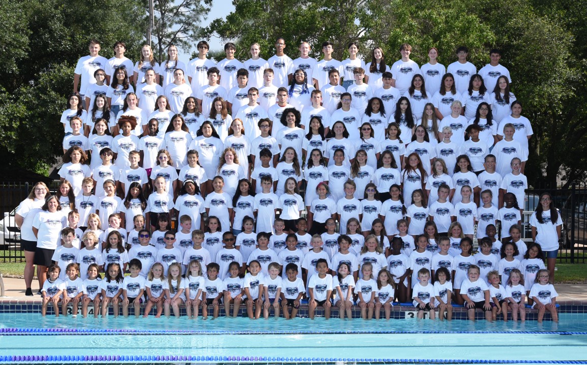 Join the 2023 Dolphin Swim Team!