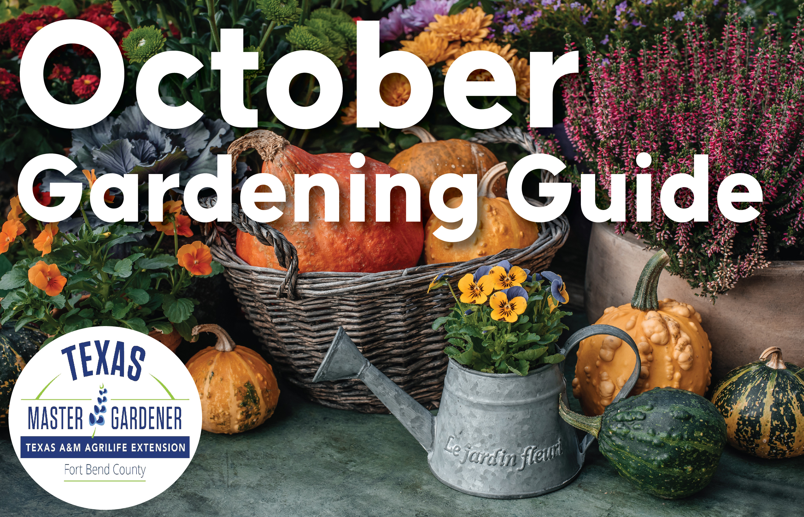 October 2026 Gardening in Fort Bend County: Put Leaves to Work and Refresh Fall Beds