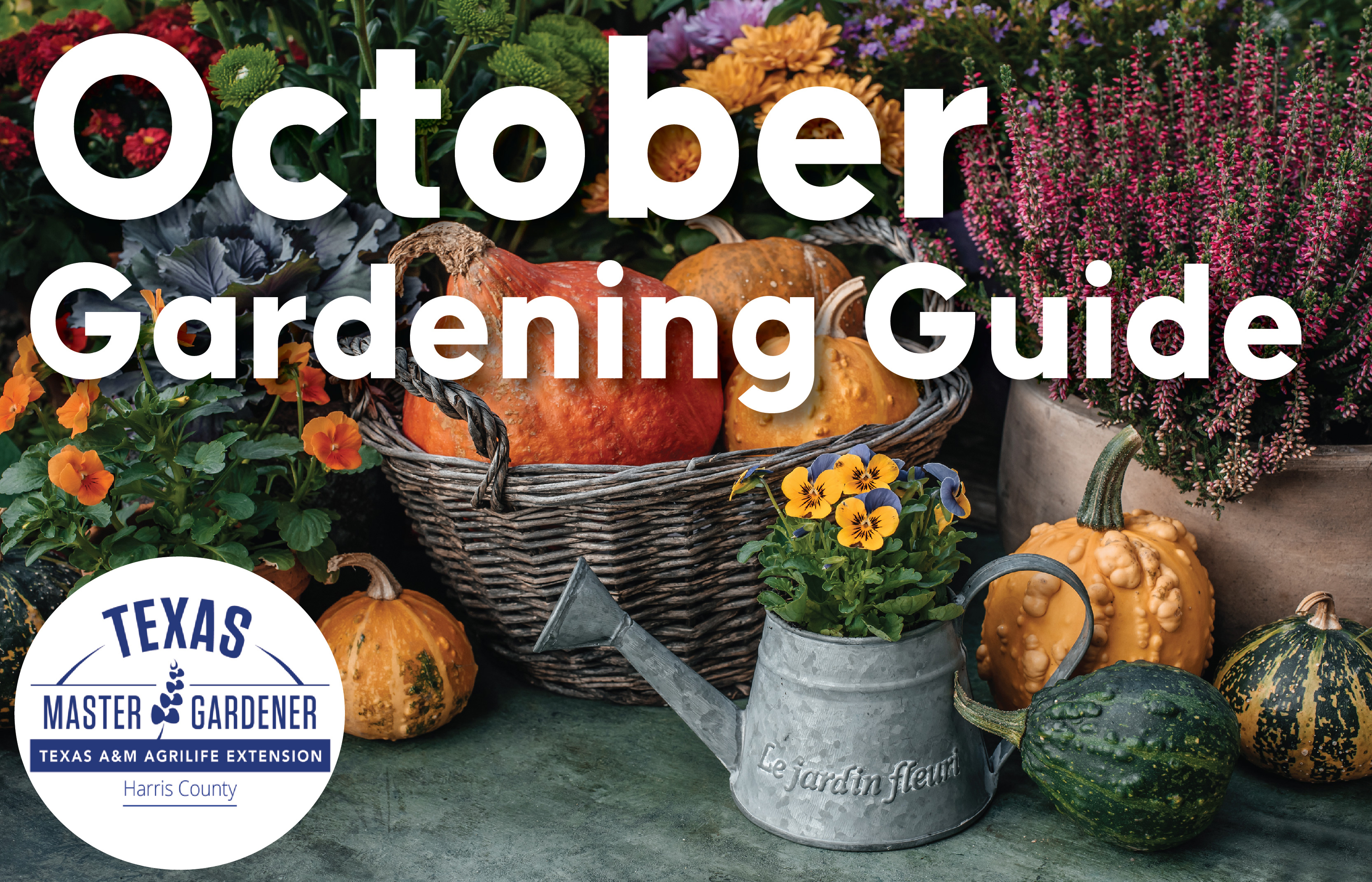 October 2026 Gardening in Harris County: Plant for Spring and Prepare for Cooler Weather